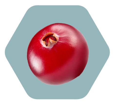 蔓越莓是 Aveeno Calm + Restore Age Renewal 系列的关键成分，以其植物性视黄醇替代特性而闻名。